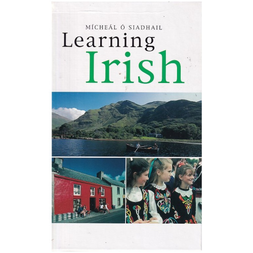 Learning Irish: An Introductory Self-Tutor by Micheal O Siadhail