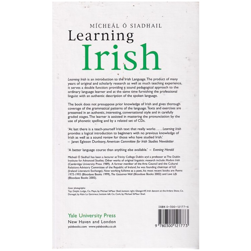 Learning Irish: An Introductory Self-Tutor by Micheal O Siadhail