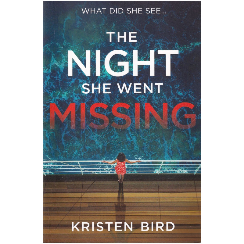 The Night She Went Missing by Kristen Bird