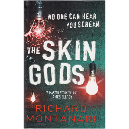 The Skin Gods by Richard Montanari HARDCOVER