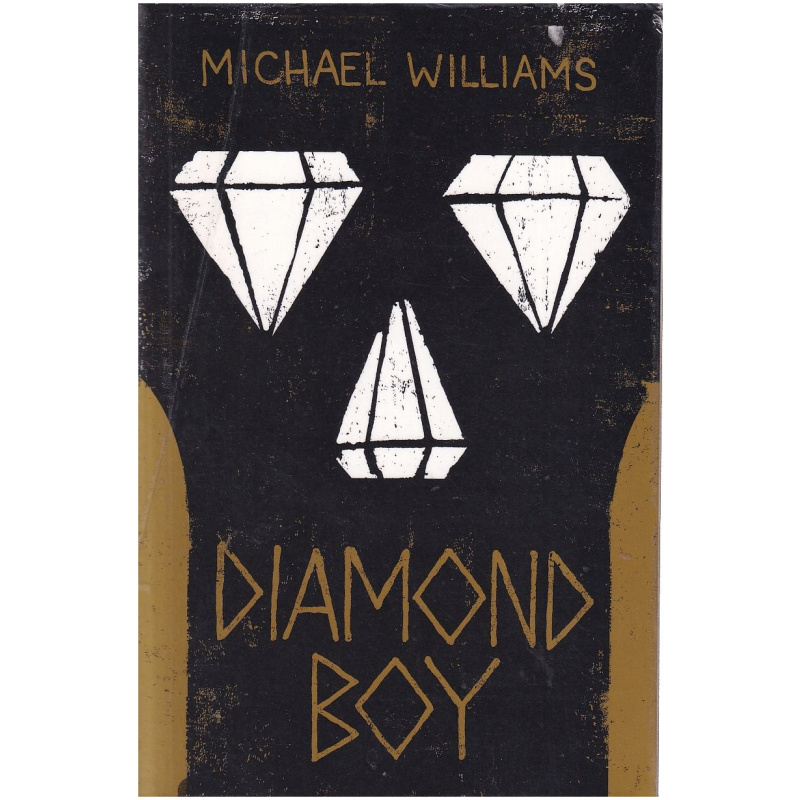 Diamond Boy by Michael Williams